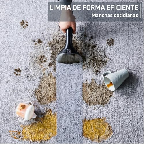 Rowenta Clean It – Aspirador de tapicerías 750W para mascotas, coche y alfombras